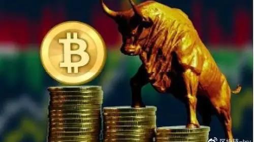 Mining farm showcasing advanced equipment