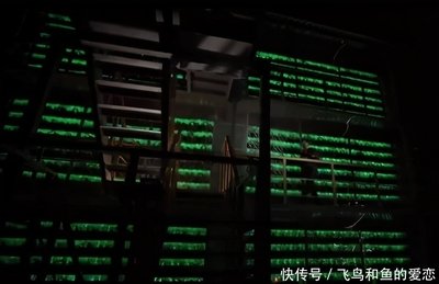 Vast mining farm with rows of ASIC mining rigs working in unison