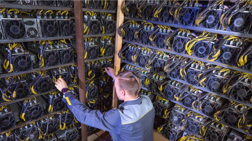 An expansive view of a modern mining farm, highlighting rows of hosted machines that drive profitability in BTC and ETH operations