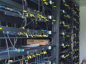 High-Performance German Mining Rig